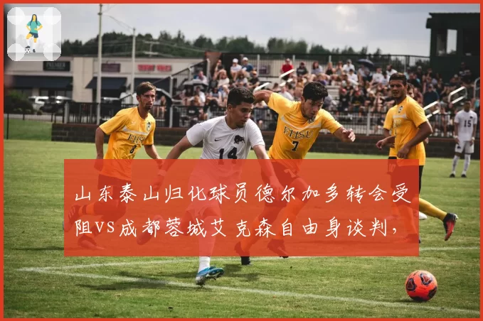 山东泰山归化球员德尔加多转会受阻vs成都蓉城艾克森自由身谈判，归化生存现状对比