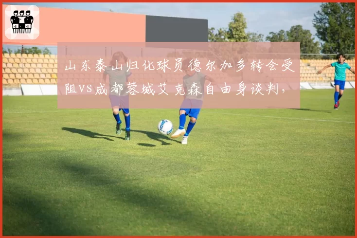 山东泰山归化球员德尔加多转会受阻vs成都蓉城艾克森自由身谈判，归化生存现状对比
